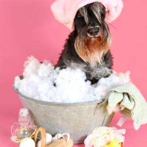 Membership (For Groomers Only)