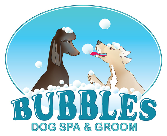 Jennifer Webster